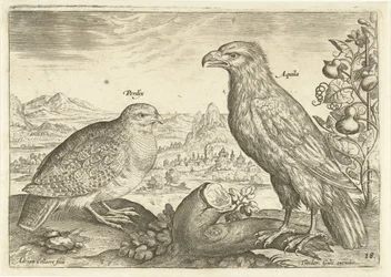Två fåglar i ett landskap Avium Vivae (serietitel) Fåglar (serietitel)