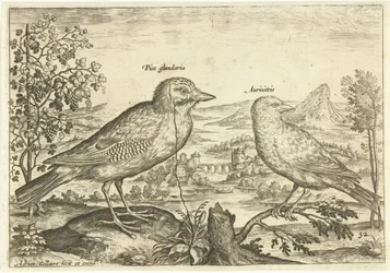 Två fåglar i ett landskap Fåglar (serietitel) Avium Vivae (serietitel)