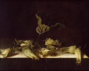 Stilleben med hasselnötter, 1696