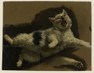 Katt liggande på rygg och lös tass