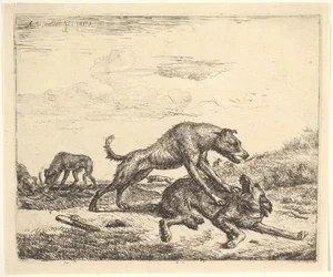 Kamphundar, från olika djur, 1657.