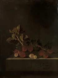 En kvist krusbär på en stensockel, 1699