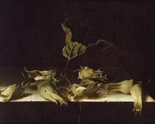 Stilleben med hasselnötter, 1696 (olja på papper)