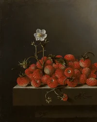 Stilleben med smultron, 1705