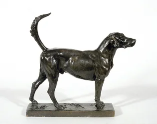 The Hound "Pytchley Forager"