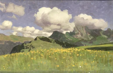 Ett fält med ringblommor, Nedre Alperna, 1902