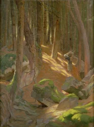 Skymning i en skog