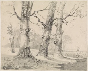 Vinterlandskap