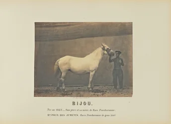 Bijou