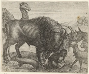 Fabel om bisonen och de andra djuren