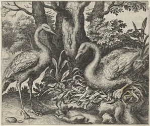 Fabel om Svanen och Storken