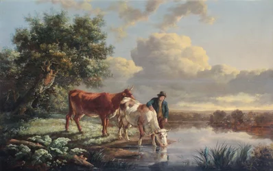 Boskap som dricker vid flodkanten