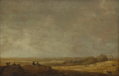 Platt landskap