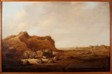 Landskap med kaniner Målning av Albert (Aelbert eller Aelbrecht) Cuyp (1620-1691) 1641-1642 Dim.44x67 cm Genes, Musei di Strada Nuova (ex Palazzo Rosso)