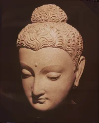 Buddhas huvud i grekisk-buddhistisk stil från Hadda (stuk)