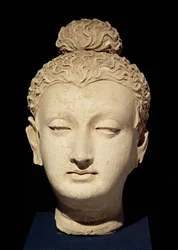 Huvud av en Buddha, grekisk-buddhistisk stil, från Hadda (stuck)