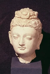 Head of a Buddha, grekisk-buddhistisk stil, från Hadda (stuckatur)