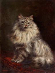 Perserkatt, ca 1908-20