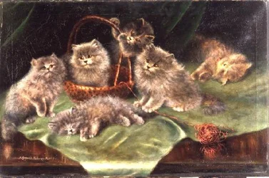 Sex kattungar