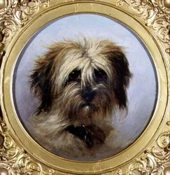 Ett huvud av en terrier (olja ombord)