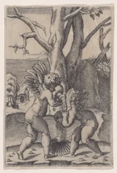 Två amoriner, ca. 1519.