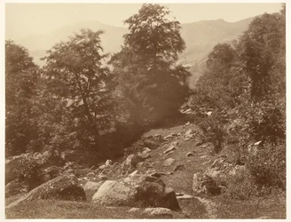 La Vallée du Lys (Coup de Vent)