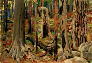 Den brända skogen