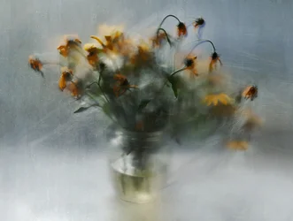 Drömlika, vissnande blommor