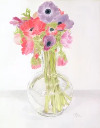 Anemonies, 1982 (färgpenna på papper)
