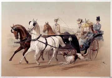 A Victoria Car and the horses of Tarbes Tryck av Albert Adam (1833-?) 1800-talets Paris, Musee Carnavalet