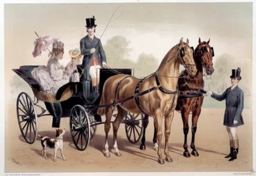 En hästvagn med anglo-normandiska hästar Tryck av Albert Adam (1833-?) 1800-talets Paris, Musee Carnavalet
