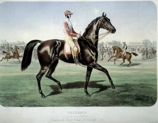 Racing: "" Suzerain, vinnare av Chantilly-derbyt 1868"" Litografi av Albert Adam (1833-?) Privat samling