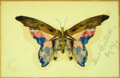 Fjäril (gouache på papper)