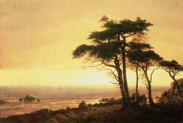 California Coast (olja på duk)