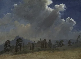 Ädelgranar och stormmoln