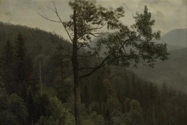 Trädklädda berg