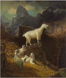 Okänd bild