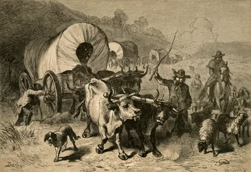 Emigration till Västlandet, 1877.