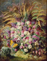 Bell Heather, 1877