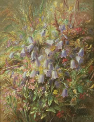 Harebells och andra skogsblommor och gräs