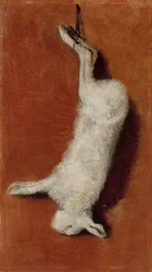 Död hare, studie