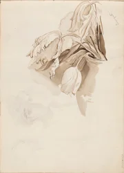 Tulpaner