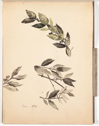 Utan titel