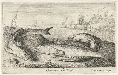 Tre fläckiga vivers på stranden Araneus. Livet. (titel på objekt) Fiskar och andra havsdjur - saltvattens andra serie (serietitel) Poissons de mer (serietitel)