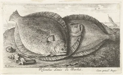 Tre ungar på stranden Rhombus Laeuis La Barbuë (titel på objekt) Fish and Other Sea Creatures - Saltwater Third Series (serietitel) Poissons de mer (serietitel)