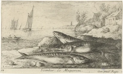 Tre makrillar på stranden Scomber. Le Maquereau. (titel på objekt) Fiskar och andra havsdjur - saltvatten första serie (serietitel) Diverses Especes de Poissons de mer (serietitel)