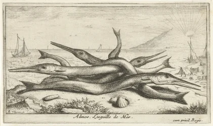 Fast på stranden Admos. Lesguille de Mer. (titel på objekt) Fiskar och andra havsdjur - saltvatten tredje serie (serietitel) Poissons de mer (serietitel)
