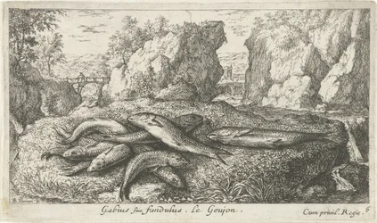 Knölar på en flodstrand Gabius siue fundulus. Le Gojon. (titel på objekt) Fiskar och andra havsdjur - sötvattens andra serie (serietitel) Second partie de Poissons d