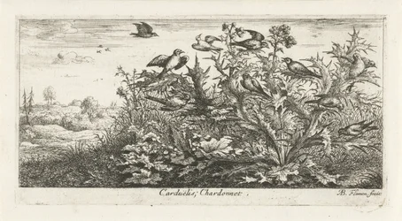 Landskap med guldfink i tistel Carduelis; Chardonneret. (titel på objekt) Fågelbok (serietitel) Livre d