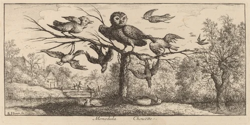 Monedula, ugglan